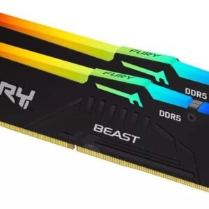 KINGSTON DDR5 Arbeitsspeicher RAM