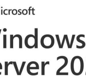 MICROSOFT SW OEM WIN SVR 2025 CAL/ENG 1PK 1CLT DEV EP2-25225 MS