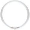 Philips MASTER TL5 Circular 60W/840 2GX13