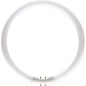 Philips MASTER TL5 Circular 60W/840 2GX13