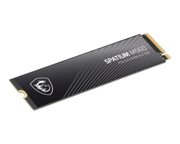 MSI M.2 NVMe SSD