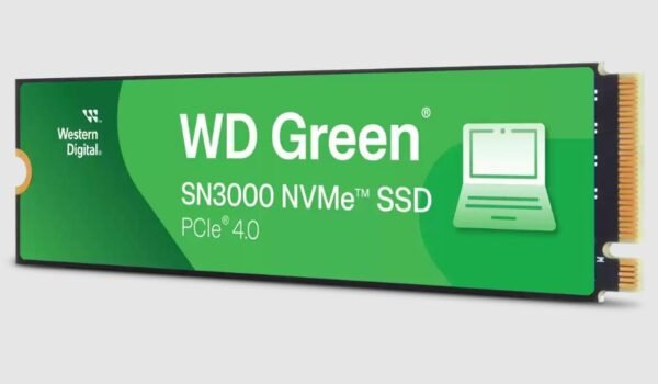 WESTERN DIGITAL M.2 NVMe SSD
