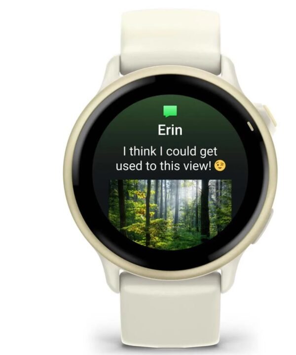 GARMIN SMARTWATCH VIVOACTIVE 6/LUNAR GOLD 010-02985-01 GARMIN – Bild 2