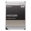 SYNOLOGY Enterprise HDD SAS