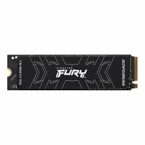 KINGSTON M.2 NVMe SSD