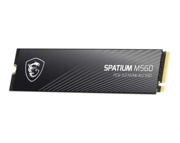 MSI M.2 NVMe SSD – Bild 2