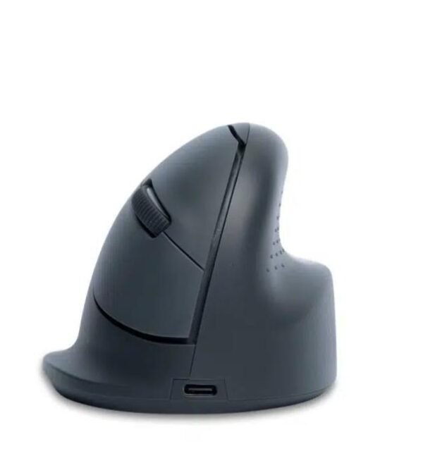 R-GO TOOLS Maus "HE Basic Vertikal"